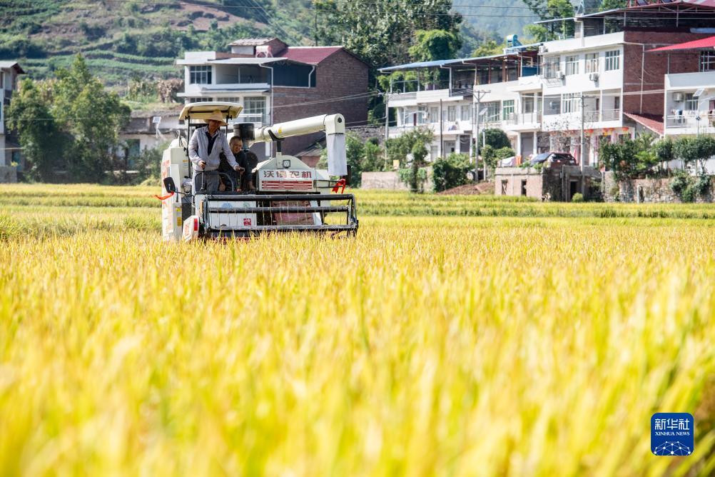 白菜领取大全导航